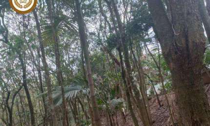 Casa com 3 quartos à venda na Alameda Timbaubas, Planalto Verde, São Roque