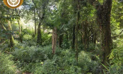 Casa à venda na Estrada dos Mendes, Taboão, São Roque