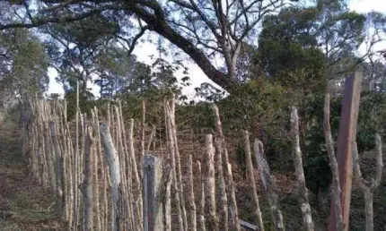 Casa para Venda em Mairinque, Jardim Cruzeiro, 2 dormitórios, 1 banheiro
