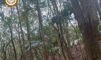 Casa para Venda em São Roque, Planalto Verde, 3 dormitórios, 1 suíte, 2 banheiros, 2 vagas
