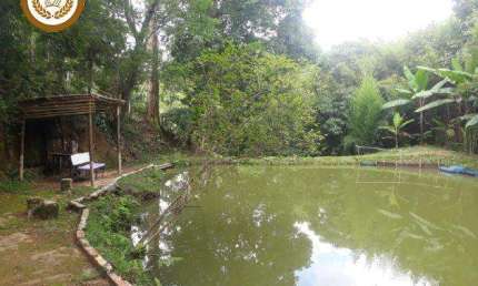Casa para Venda em Mairinque, Vale da Esperança, 2 dormitórios, 1 suíte, 2 banheiros, 1 vaga