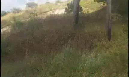 Casa à venda no Planalto Verde, São Roque 