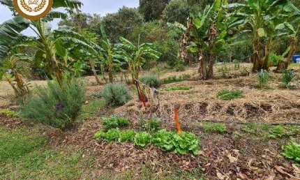 Casa para Venda em São Roque, Planalto Verde, 1 dormitório, 1 suíte, 1 banheiro, 10 vagas