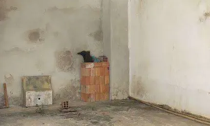 Casa para Venda em São Roque, Mailasqui, 2 dormitórios, 1 banheiro, 2 vagas