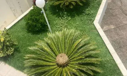 Apartamento para Venda em São Roque, Jardim Villaça, 2 dormitórios, 1 banheiro, 2 vagas