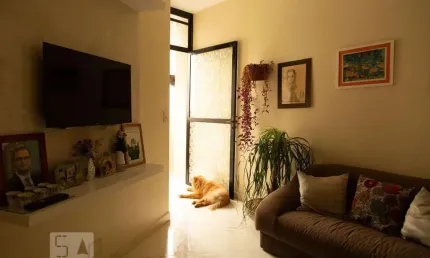 Apartamento para Aluguel - Moema, 1 Quarto,  38 m² - São Paulo