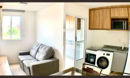 Apartamento para Aluguel - Cambuci, 1 Quarto,  30 m² - São Paulo