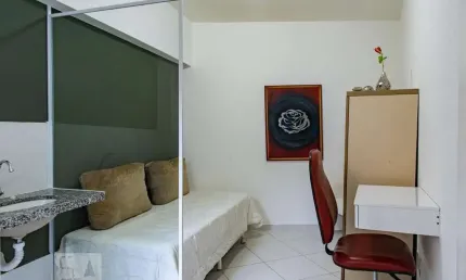 Kitnet / Stúdio para Aluguel - Cambuci, 1 Quarto,  15 m² - São Paulo