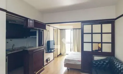 Kitnet / Stúdio para Aluguel - Campos Elíseos, 1 Quarto,  45 m² - São Paulo