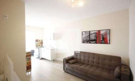 Apartamento para Aluguel - Cambuci, 1 Quarto,  35 m² - São Paulo