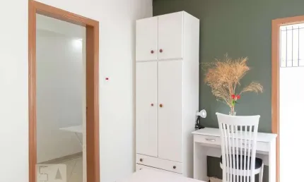 Kitnet / Stúdio para Aluguel - Cambuci, 1 Quarto,  22 m² - São Paulo