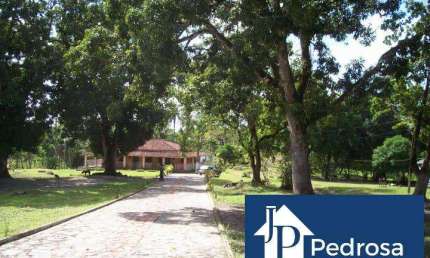 Fazenda à venda no Centro, Maragogipe 