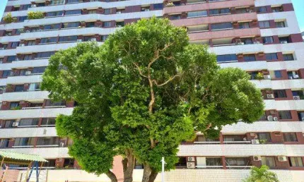 APARTAMENTO Á VENDA NO CIDADE JARDIM 3/4 - SALVADOR/BA
