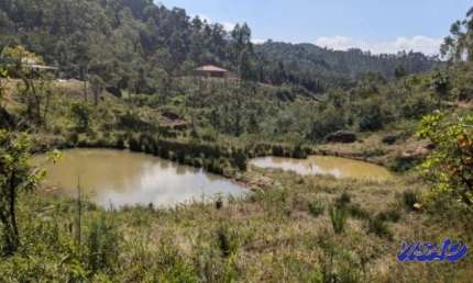 Chácara / sítio com 3 quartos à venda na Zona Rural, Anitápolis 