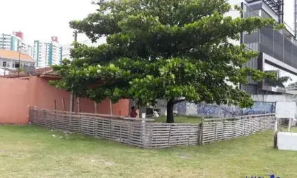 Casa com 3 quartos à venda no Campinas, São José 