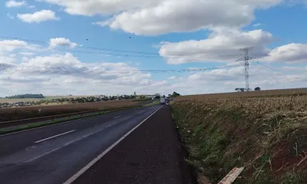 Chácara / sítio à venda na Avenida Getúlio Vargas, Zona Rural, Floresta
