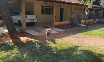 Chácara / sítio com 4 quartos à venda na Rua Rua 1, Núcleo Rural Lago Oeste (Sobradinho), Brasília