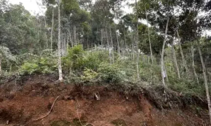 Terreno à venda no Parque do Imbui, Teresópolis 