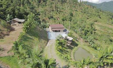 Chácara / sítio com 3 quartos à venda no Patrimônio, Massaranduba , 130 m2 por R$ 590.000