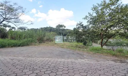 Terreno à venda no itoupava norte, blumenau , 716 m2 por r$ 295.000