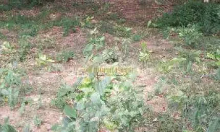 Chácara de 5.180.00 m²`a venda em Biritiba Mirim-SP