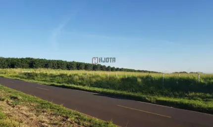 Terreno à venda na Estrada Municipal Diógenes Breda Filho, 1, Fazenda Cruz Alta, Olímpia