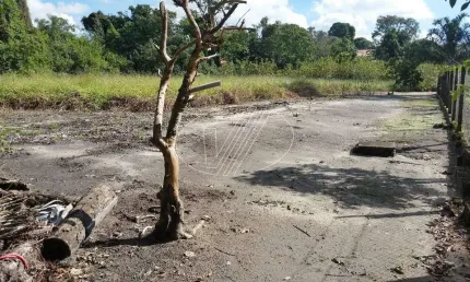 Terreno comercial à venda na olyntho de barros, s/n°, barão geraldo, campinas por r$ 580.000