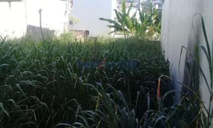 Terreno à venda na Avenida Cláudio Celestino Toledo Soares, s/n°, Jardim Paraíso, Campinas por R$ 352.000