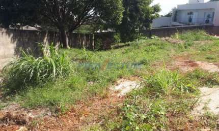 Terreno comercial à venda na Rua Afonso Dini, 1011, Parque das Flores, Campinas por R$ 1.060.000