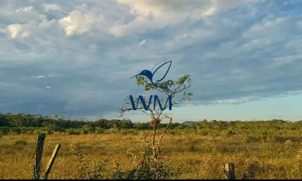 Imóvel rural para investimento em local de valorização em alta.