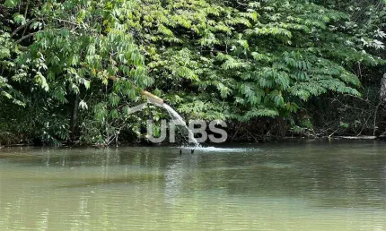 Chácara rica em água e com localização privilegiada - sítios recreio ipê