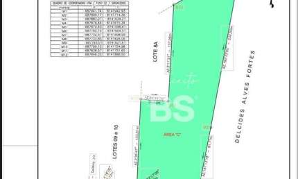 EXCELENTE AREA COMERCIAL AS MARGENS DA BR 153 - IDEAL PARA GALPOES , EMPRESAS DE LOGISTICA