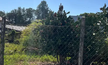 Terreno à venda na Rua Orestes Francisco Vanone, Residencial Estoril, Taubaté