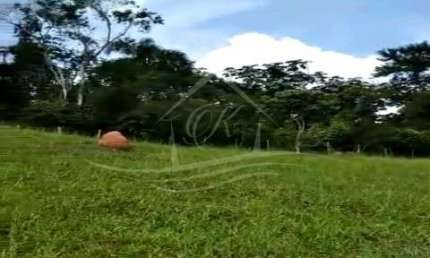 CHÁCARA COM 20 MIL M² COM ESCRITURA DEFINITIVA RODOVIA DOS TAMOIOS, JAMBEIRO/SP