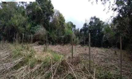 TERRENO ESCRITURADO, SEM ÁRVORES NO JARAGUÁ, SÃO SEBASTIÃO/SP