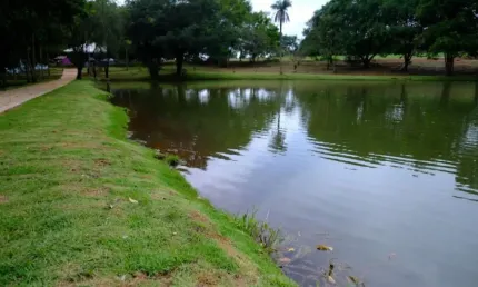 Rosa de leiria condomínio horizontal - lote para venda com 284 m2 - goianira - go