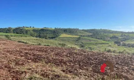 Chácara / sítio com 1 quarto à venda no Ouro Branco, Londrina 