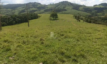 Chácara / sítio com 1 quarto à venda na Rua 1, 1, Centro, Ibaiti