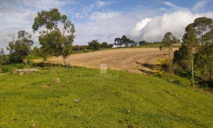 Chácara / sítio com 1 quarto à venda na 1, 1, Centro, Jaguapitã