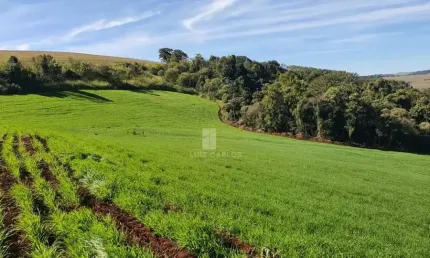 Chácara / sítio com 1 quarto à venda em Guaravera, Londrina 