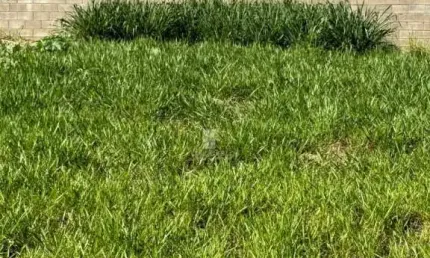 Terreno à venda no Jardim Morumbi, Londrina 