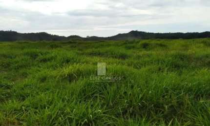 Chácara / sítio com 1 quarto à venda na Rua 1, 1, Zona Rural, Prudentópolis