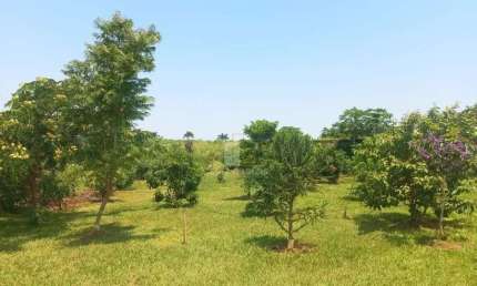Chácara / sítio com 1 quarto à venda na Pr 090, 1, Jardim Vila Alvorada, Alvorada do Sul