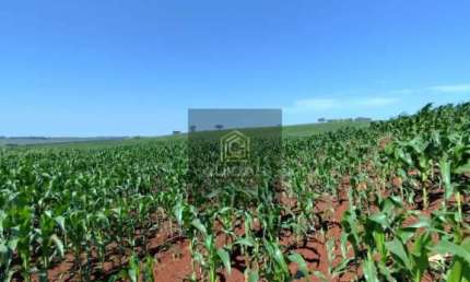 Chácara / sítio com 1 quarto à venda no Centro, Primeiro de Maio 