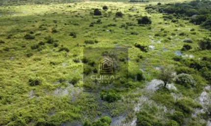 Chácara / sítio com 21 quartos à venda no Centro, Barão de Melgaço 