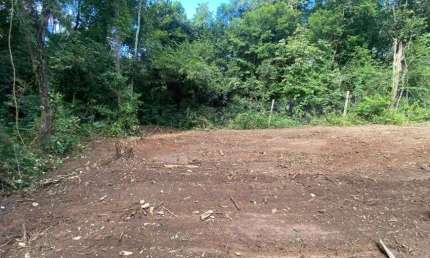 Imóvel para venda com 3700 metros quadrados em GENTILEZA - Betim - MG