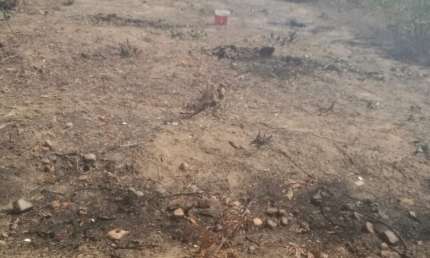 Terreno à venda no COHAB VI, Petrolina 