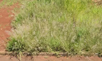 Terreno à venda no FAG, Cascavel 