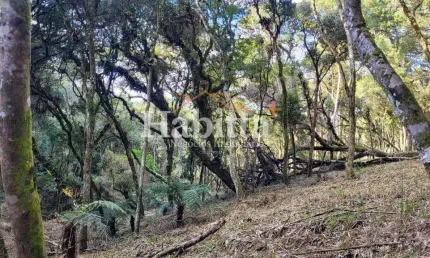 Terreno à venda no Alpino, São Bento do Sul 