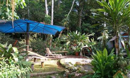 Chácara / sítio com 4 quartos à venda em Horto Florestal, Ubatuba 